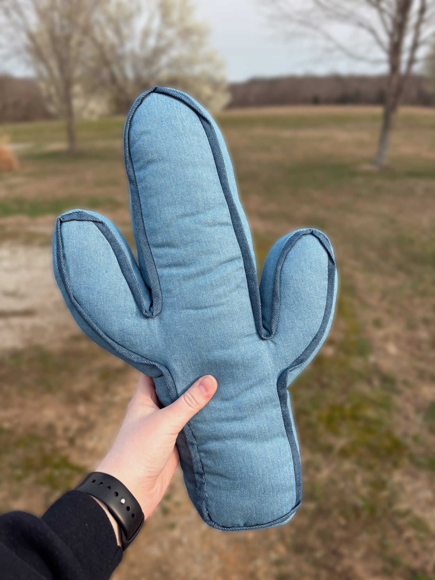 Kick A Cactus Pillow