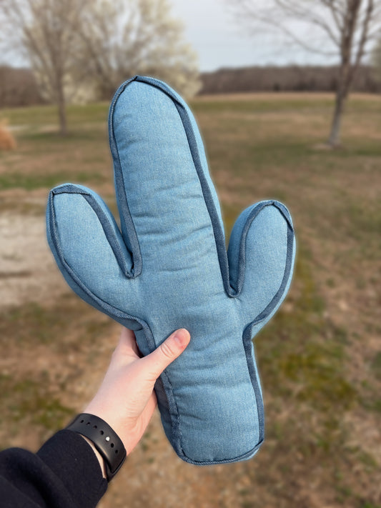 Kick A Cactus Pillow