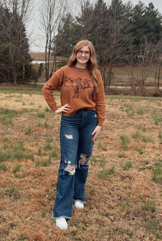 The Cowpony Crewneck Sweater