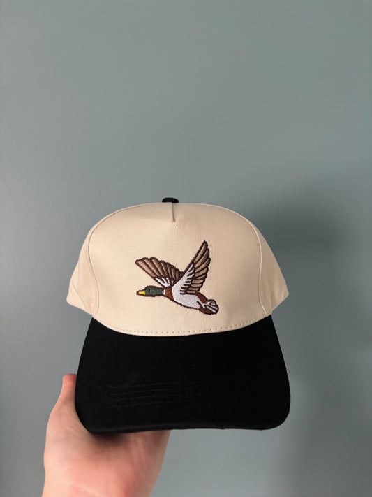 Mallard Black Hat